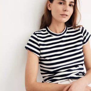 Madewell Velour Crewneck Tee in Meg Stripe